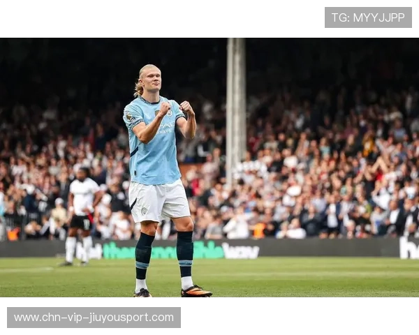 哈兰德的绝杀背后：1.2亿身价与凌晨四点的训练秘密，哈兰德最新